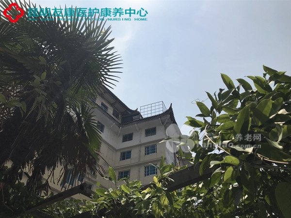 龚爷爷和况奶奶的晚年幸福生活